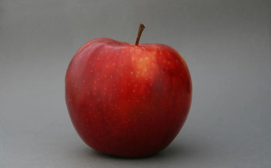 Jonagold – doskonały wybór dla miłośników soczystych jabłek