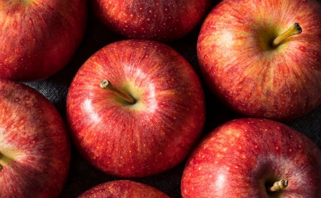 Wszystko, co musisz wiedzieć o jabłku Gala – przewodnik dla sadowników